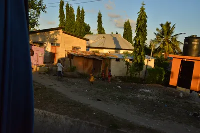 DSC_4171 (Large).JPG